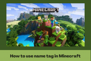 How to use name tag in Minecraft